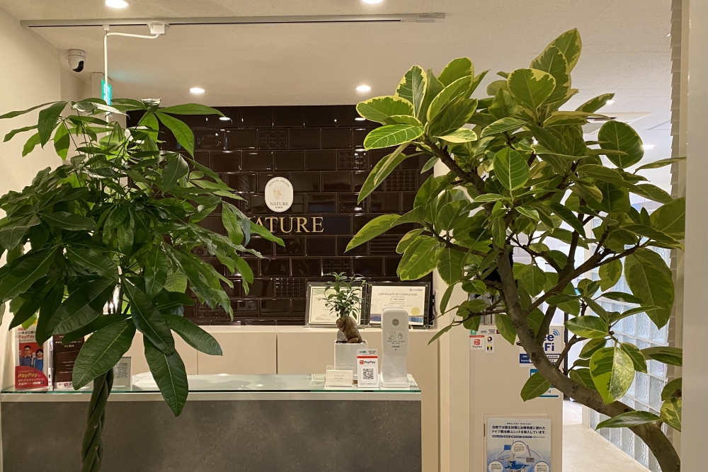 デンタルサロン ナチュール銀座のメイン写真