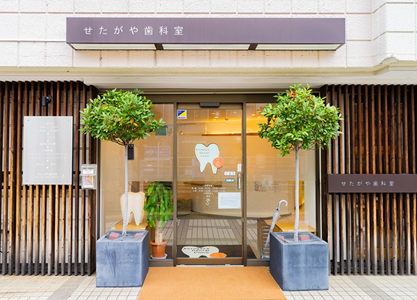 せたがや歯科室のメイン写真