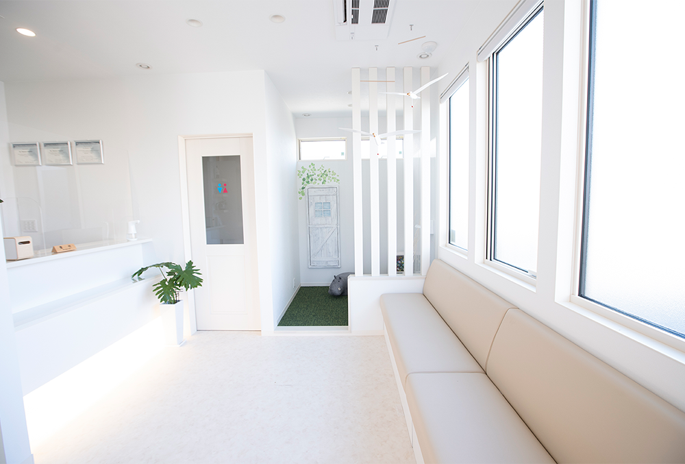 柏町歯科クリニックのメイン写真