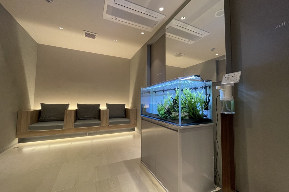 溝井歯科医院のメイン写真