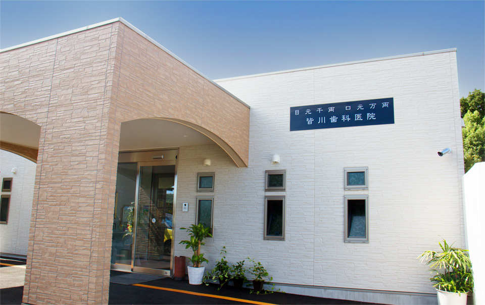 皆川歯科医院のメイン写真