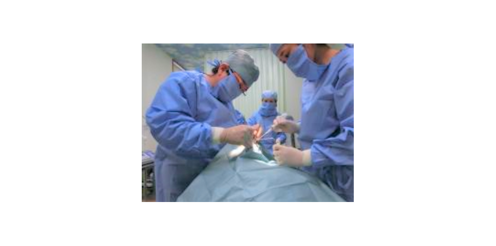 かわさき歯科口腔外科医院のサブ写真